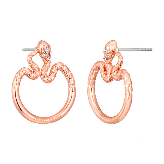 Just Cavalli Earrings