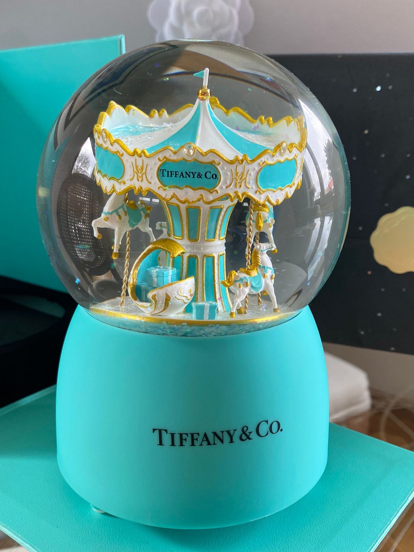 T & Co Stunning Carousel Musical Globe Gift