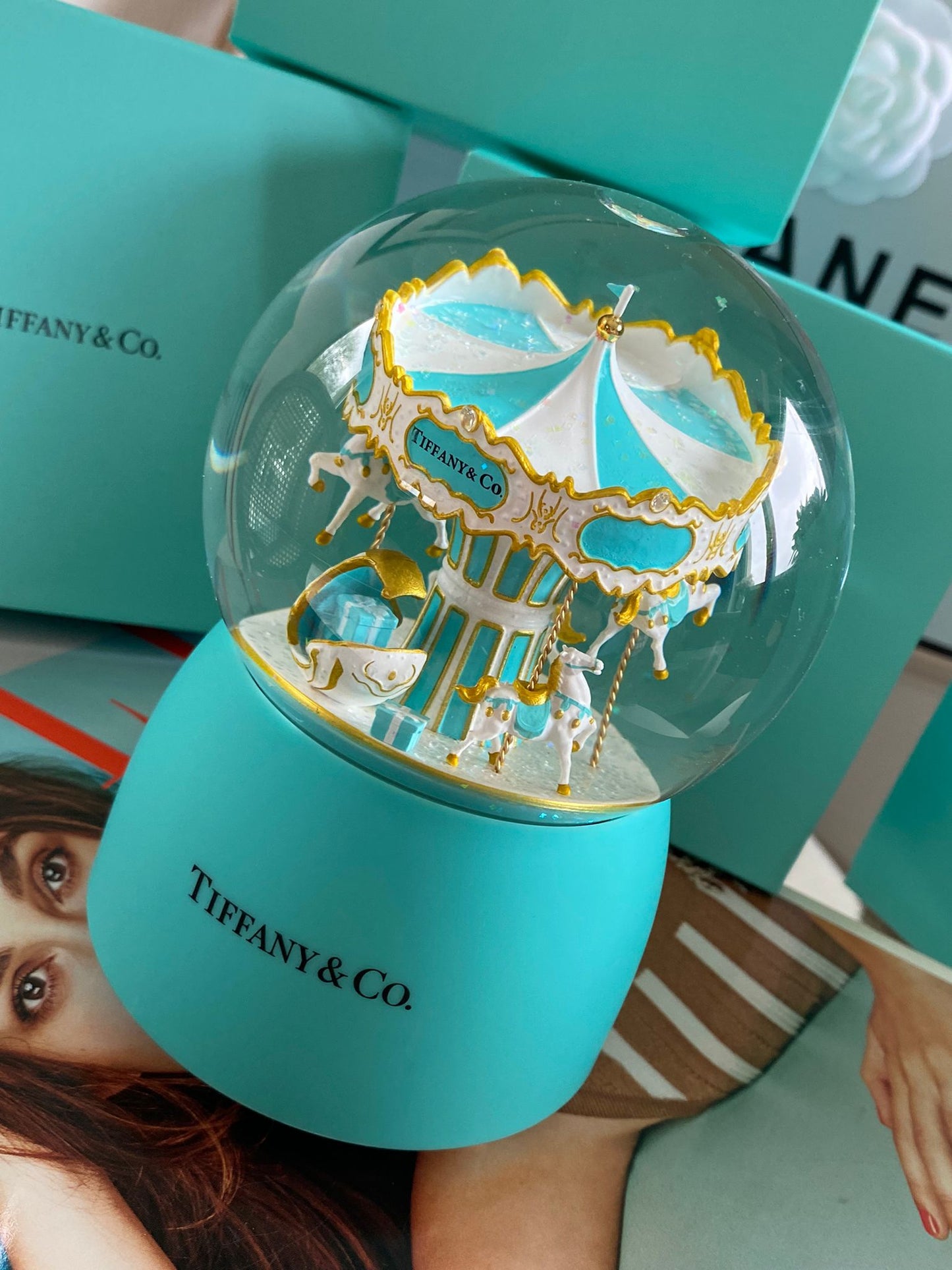 T & Co Stunning Carousel Musical Globe Gift
