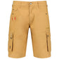 Geographical Norway Short